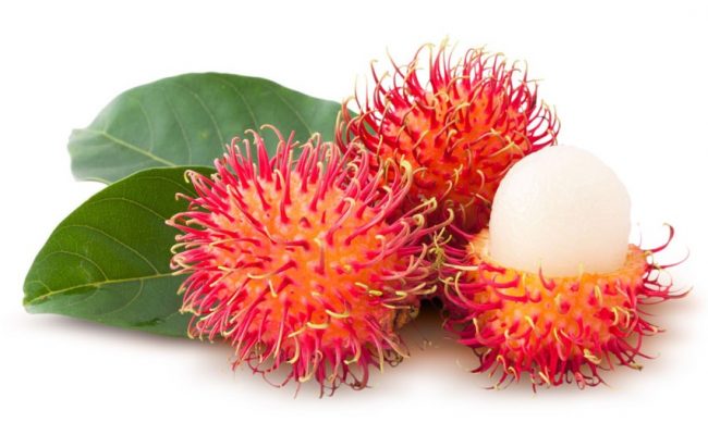 rambutan