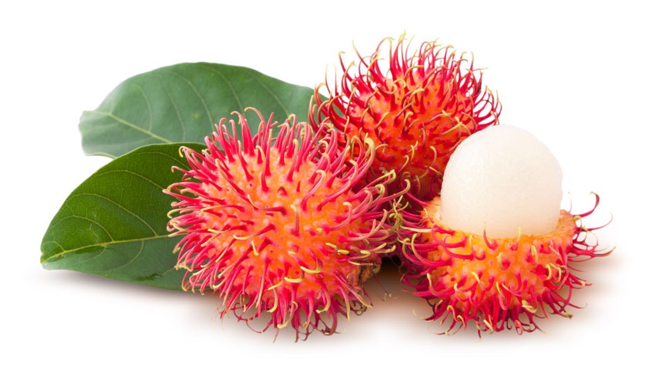 rambutan