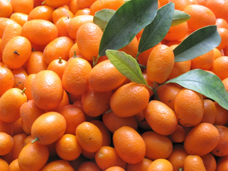 Kumquats
