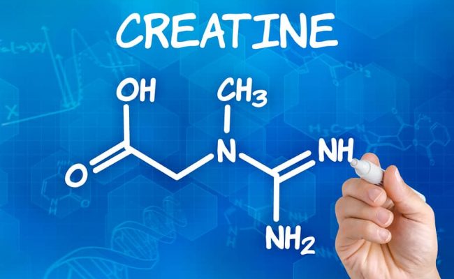 creatine