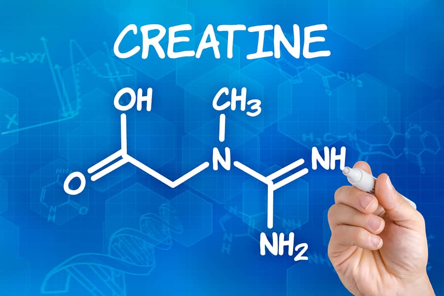 new research on creatine