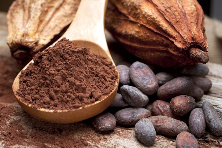 What Is the Difference Between Cocoa and Cacao?